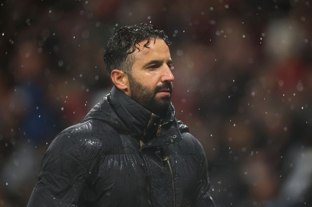 他们只有 他们只有