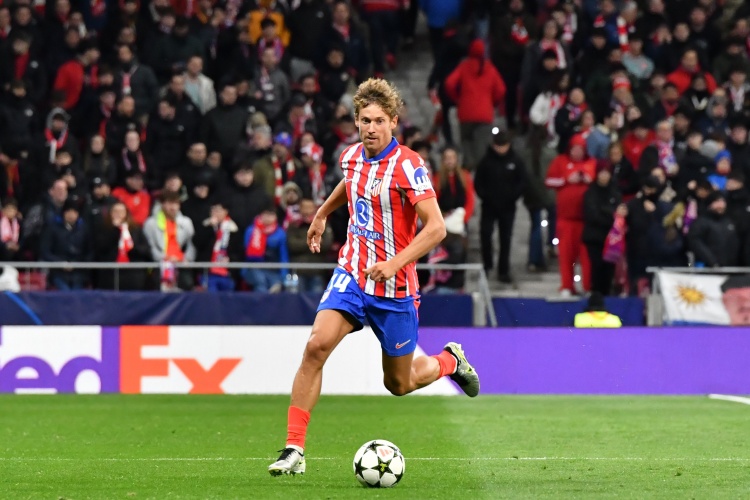 msn, 下来, tlt msn, 下来, tlt